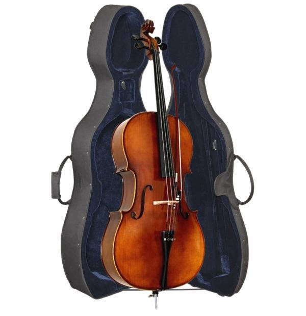 Cello-in-case-tny.jpg