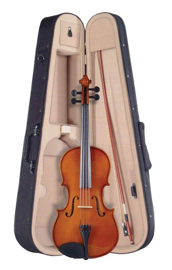 viola-in-case