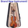 viola-in-case-tny-Brand-New