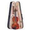 violin-in-case-w/bow.jpg